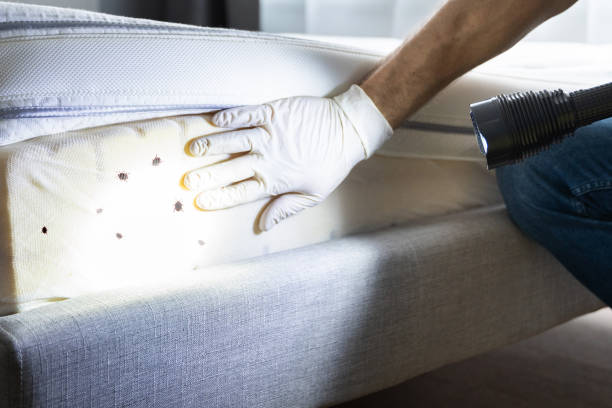 Best Wildlife Control Services  in Flemington, PA