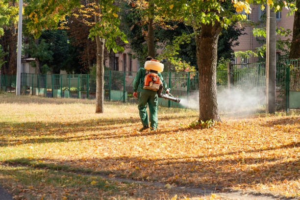 Best Mosquito Control Services  in Flemington, PA
