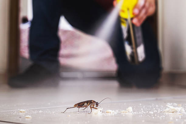 Best Wasp Removal Services  in Flemington, PA
