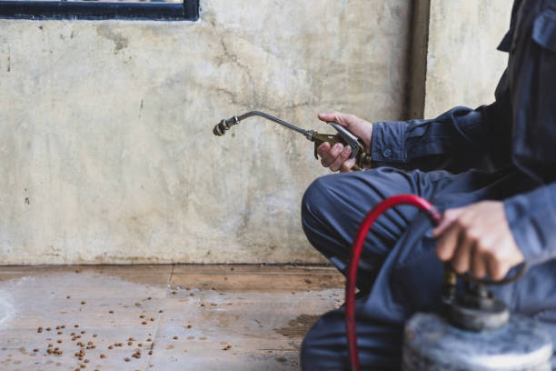 Best Local Pest Control Services  in Flemington, PA